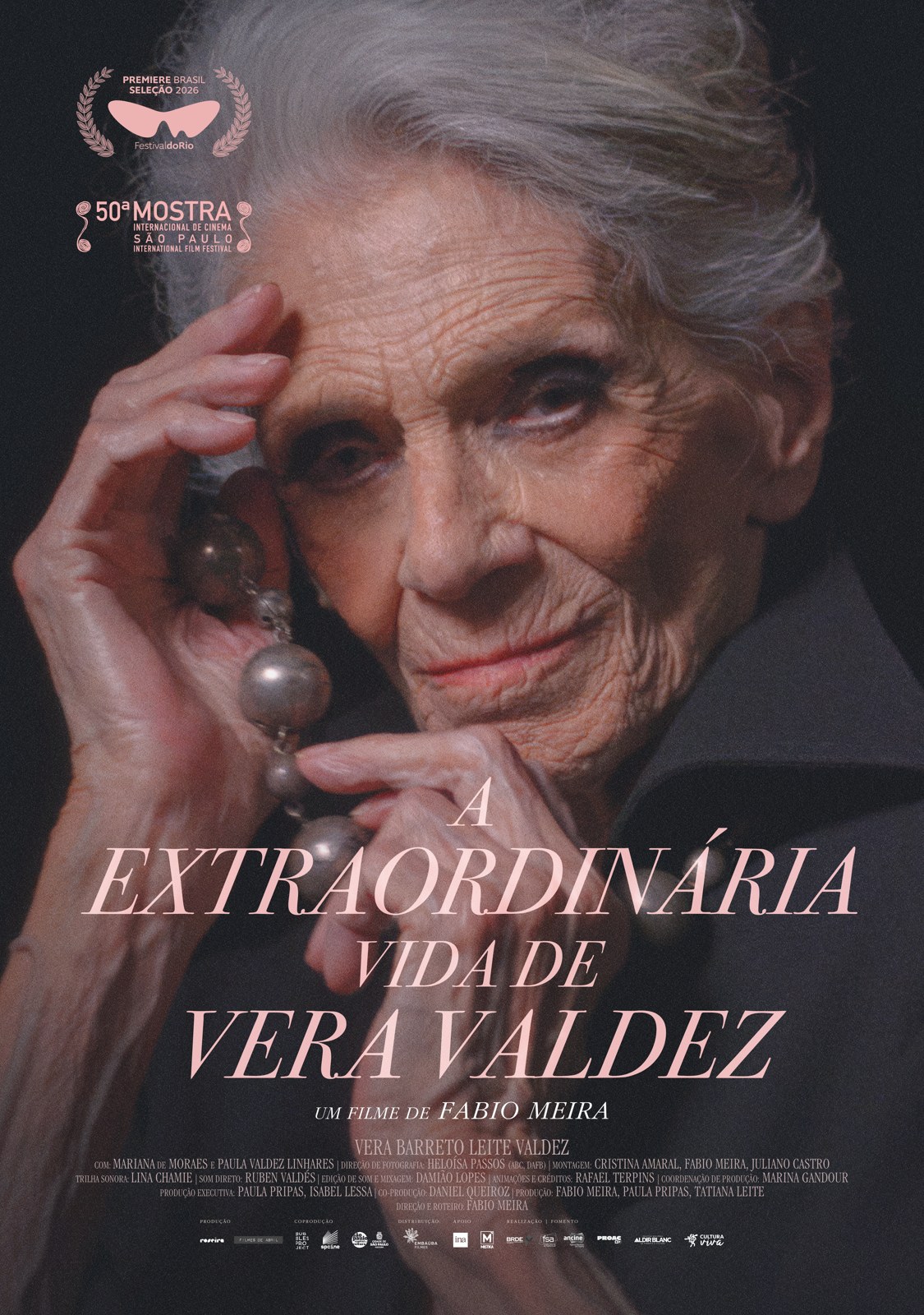 The Extraordinary Life of Vera Valdez poster